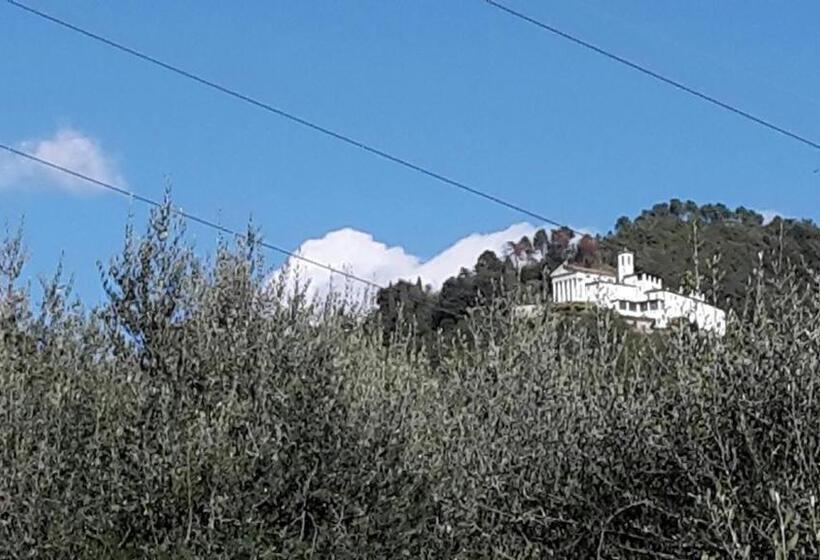 Pension (Hôtel basse catégorie) Gessy S