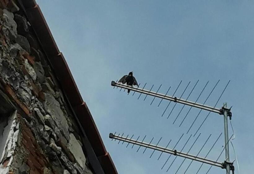 Pension (Hôtel basse catégorie) Gessy S