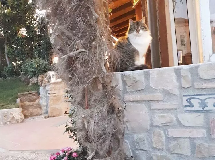 Aamiaismajoitus (B&B) Giada