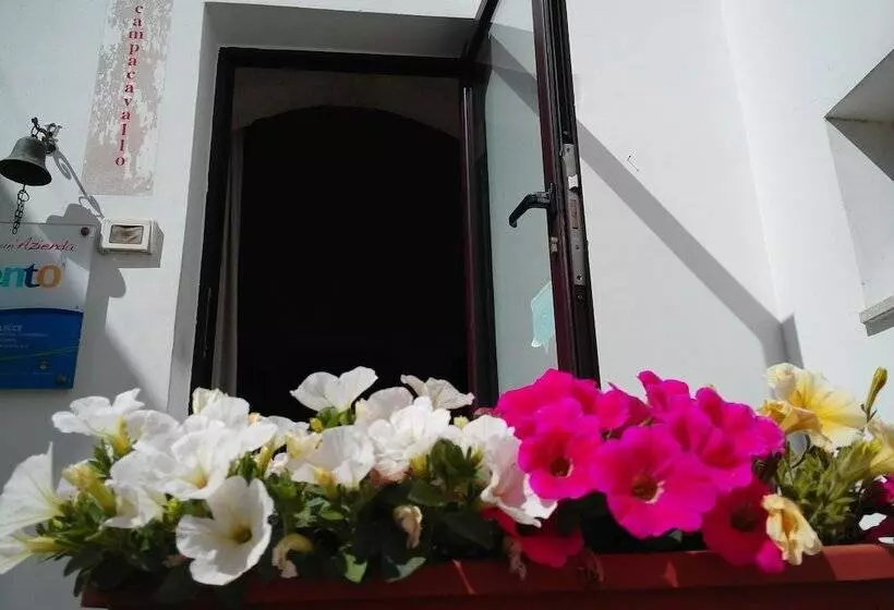 Campacavallo B&b