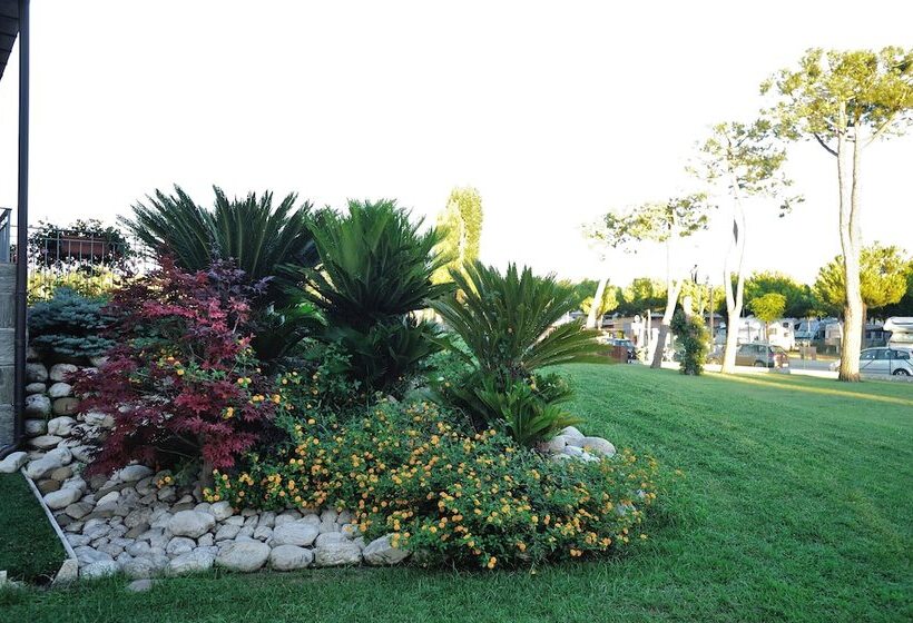 Отель Don Antonio Glamping Village