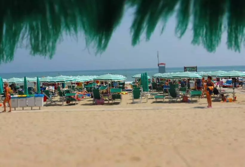 ホテル Don Antonio Glamping Village