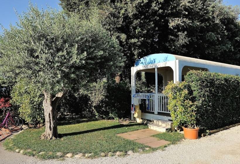 Отель Don Antonio Glamping Village