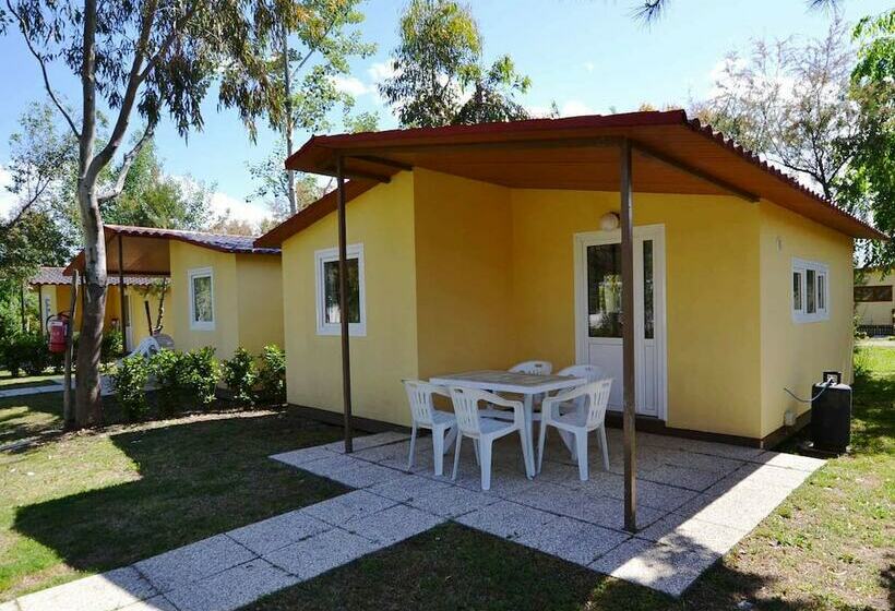 호텔 Camping Le Palme