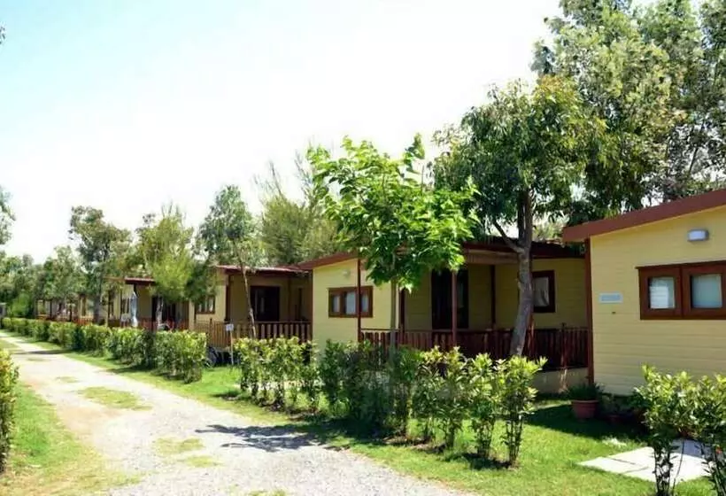 Hotelli Camping Le Palme
