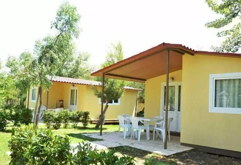 Hotelli Camping Le Palme