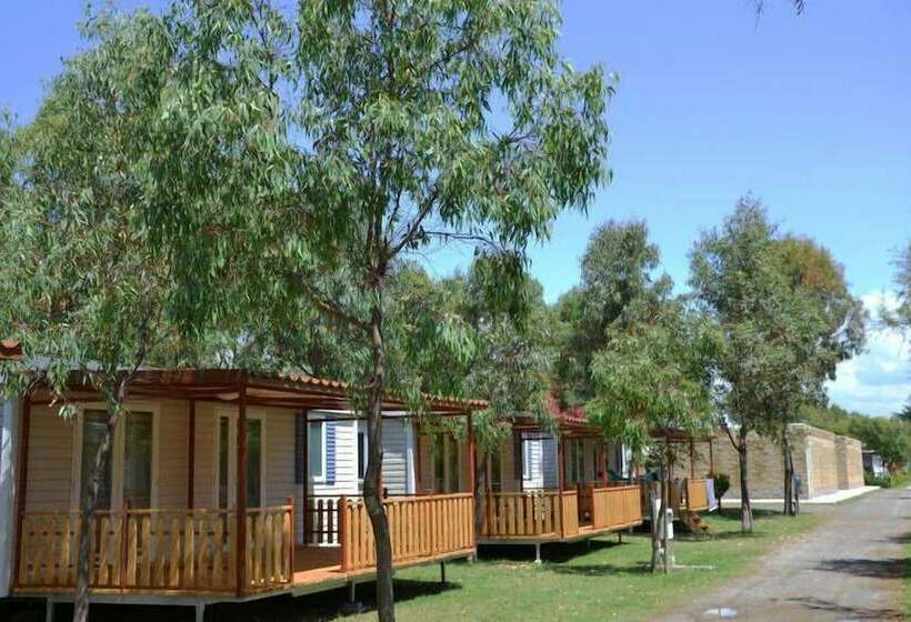 호텔 Camping Le Palme