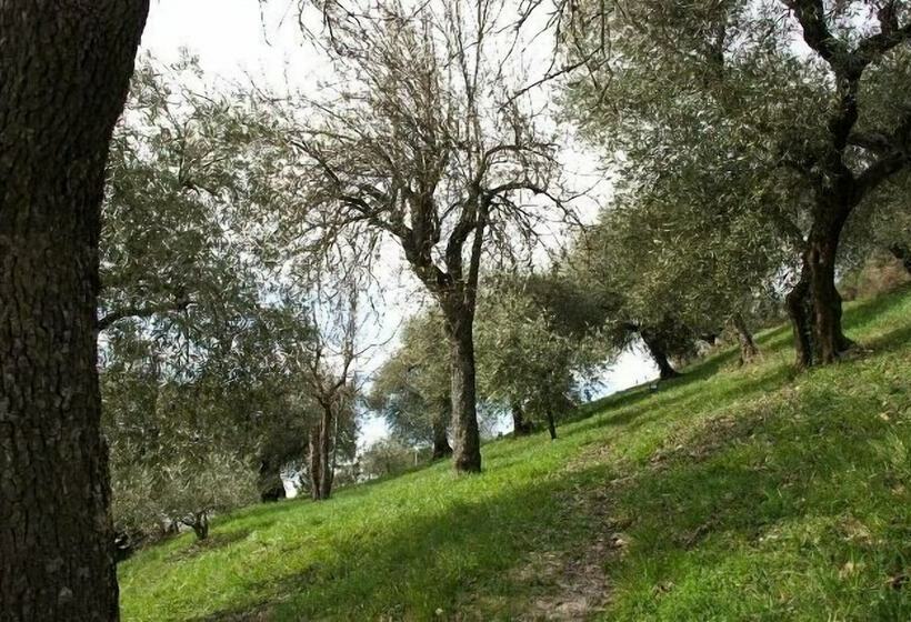 فندق ريفى Agriturismo Le Francesche