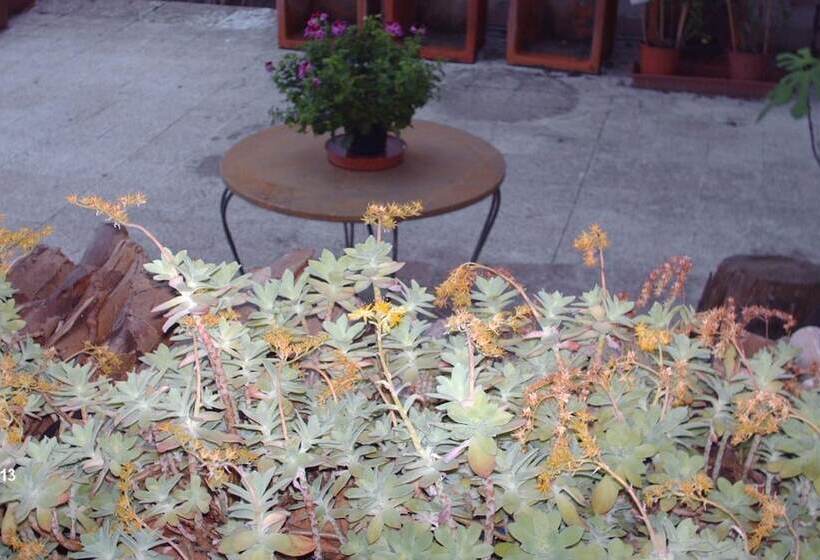 בית מלון כפרי Triana E Tyche