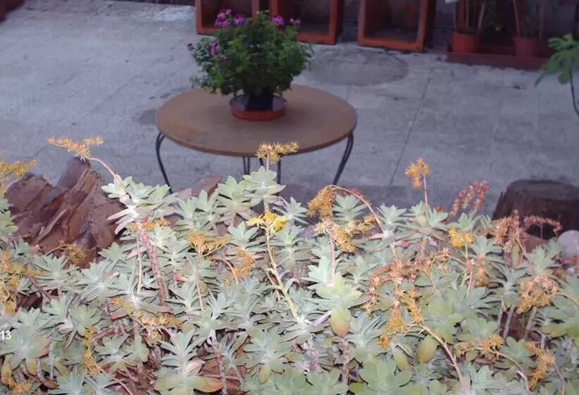 Hotelli Triana E Tyche