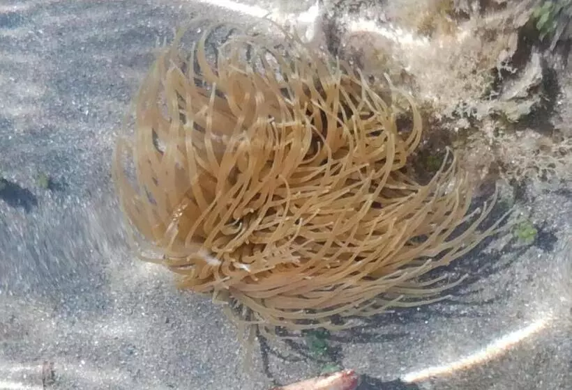 مسافرخانه Donna Carmela Sede Unica A Sciacca