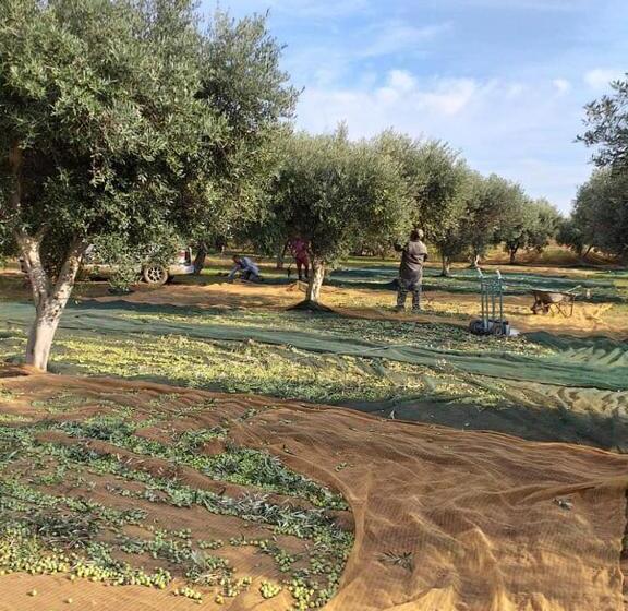 فندق فئة نجمة واحدة Donna Carmela Sede Unica A Sciacca