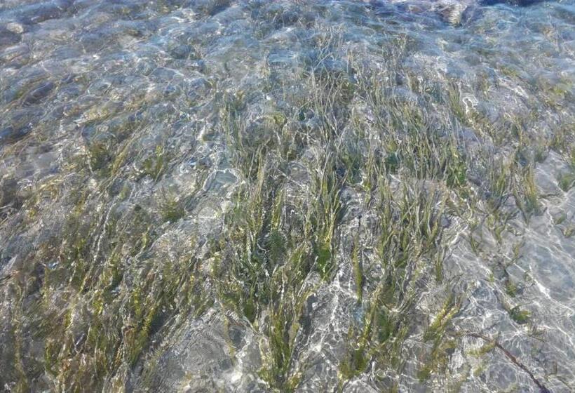 فندق فئة نجمة واحدة Donna Carmela Sede Unica A Sciacca