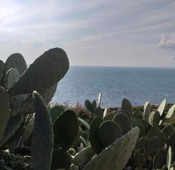 مسافرخانه Donna Carmela Sede Unica A Sciacca