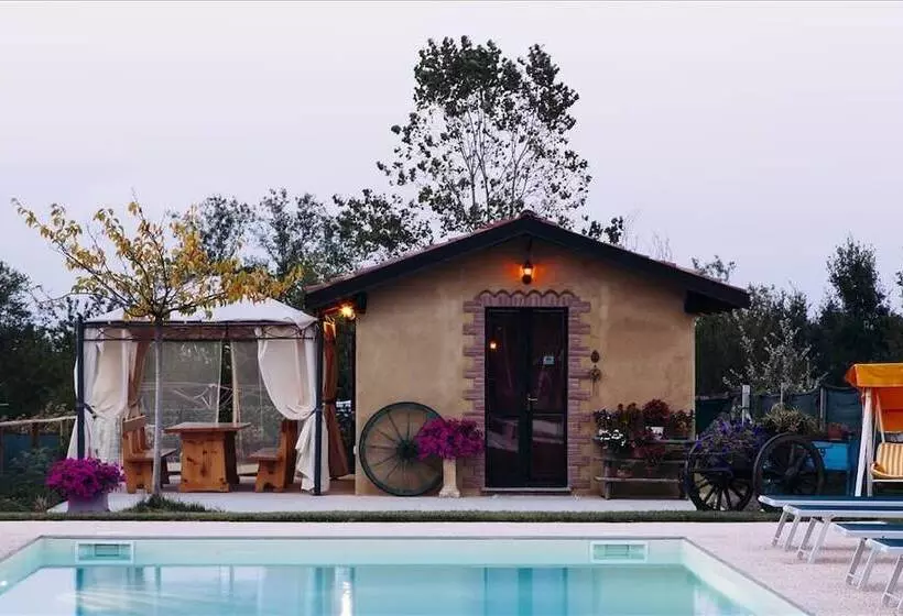 Aamiaismajoitus (B&B) Il Grappolo Vacanze