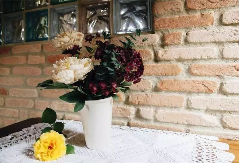 Aamiaismajoitus (B&B) Il Grappolo Vacanze