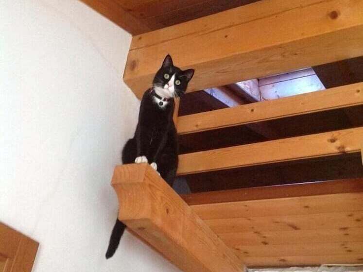 דירת נופש Garnì Predel