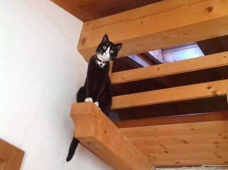 Residenssi Garnì Predel