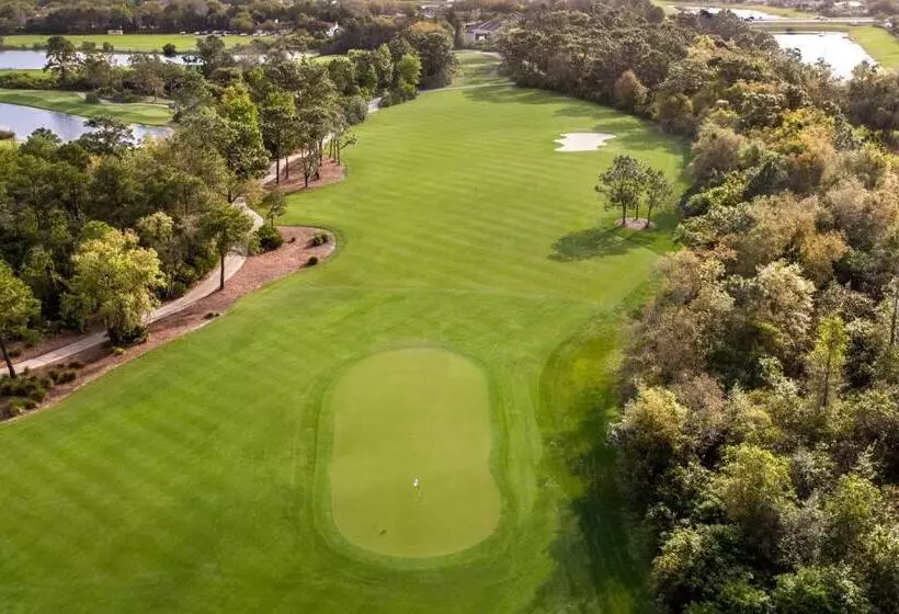 Отель The Ritzcarlton Orlando, Grande Lakes