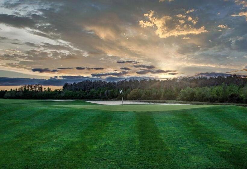 酒店 The Ritzcarlton Orlando, Grande Lakes