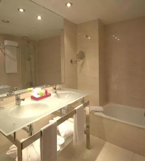 Отель Zenit Borrell