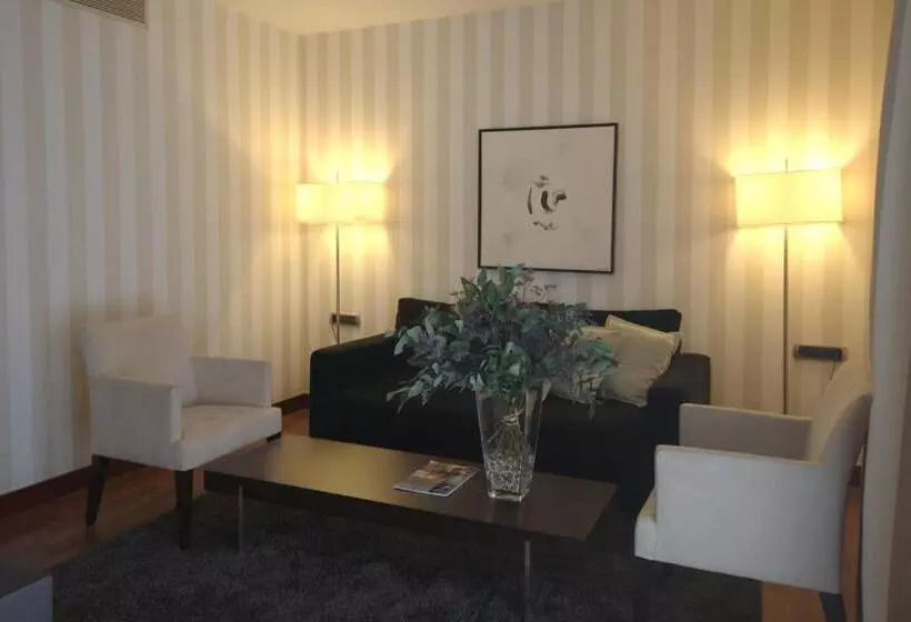 Отель Zenit Borrell