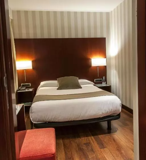 Отель Zenit Borrell