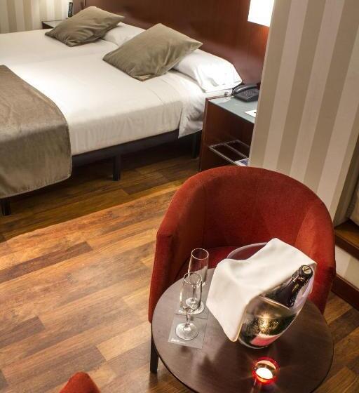 Отель Zenit Borrell