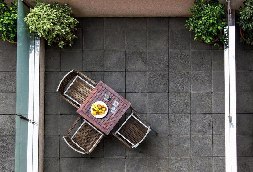 Отель Zenit Borrell