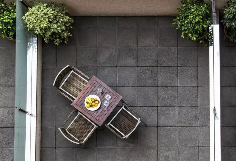 Отель Zenit Borrell