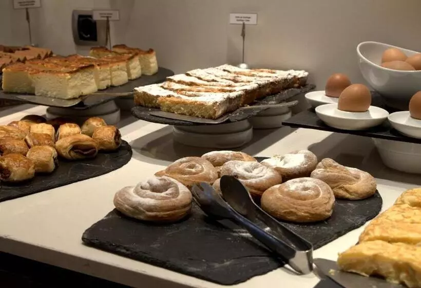 Отель Zenit Borrell