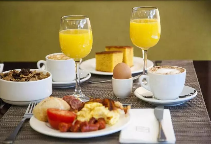 Отель Zenit Borrell