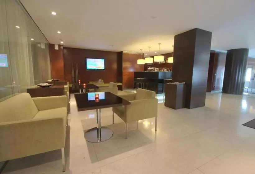 Отель Zenit Borrell