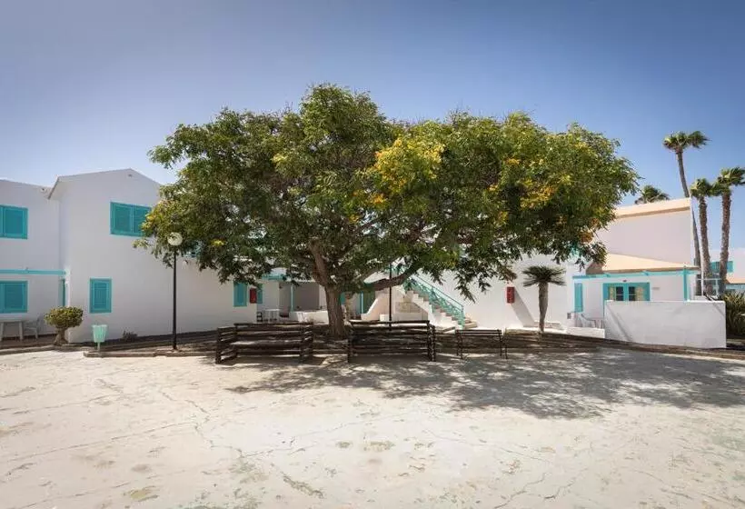 Smy Tahona Fuerteventura