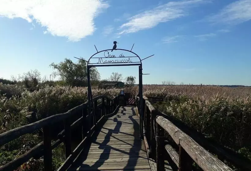 Sunrise Bed & Breakfast