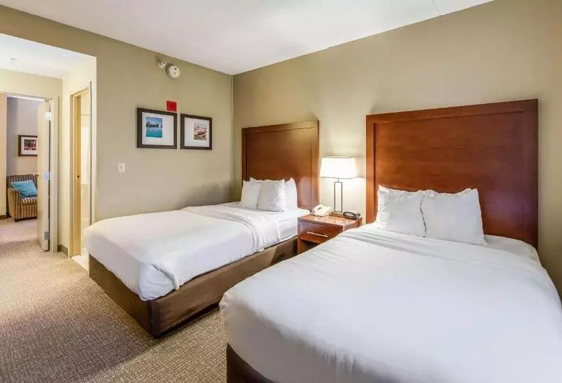 Отель Comfort Suites Chicago O Hare Airport