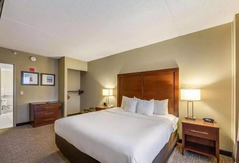 Отель Comfort Suites Chicago O Hare Airport
