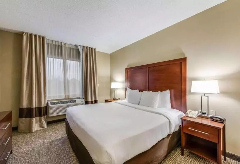 Отель Comfort Suites Chicago O Hare Airport