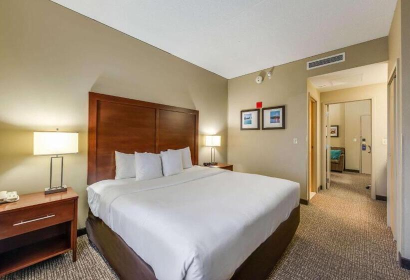 فندق Comfort Suites Chicago O Hare Airport