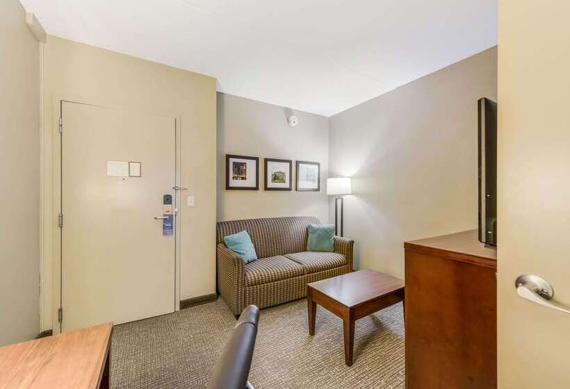 فندق Comfort Suites Chicago O Hare Airport