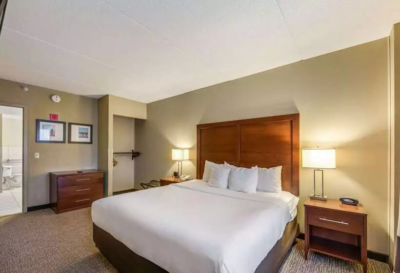 Отель Comfort Suites Chicago O Hare Airport