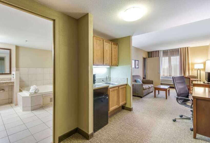 فندق Comfort Suites Chicago O Hare Airport