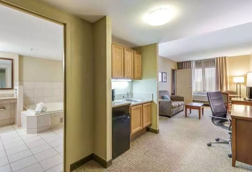 Отель Comfort Suites Chicago O Hare Airport