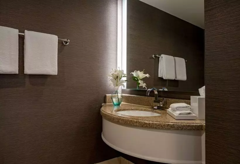 هتل Hyatt Regency Chesapeake Bay Golf Resort, Spa & Marina