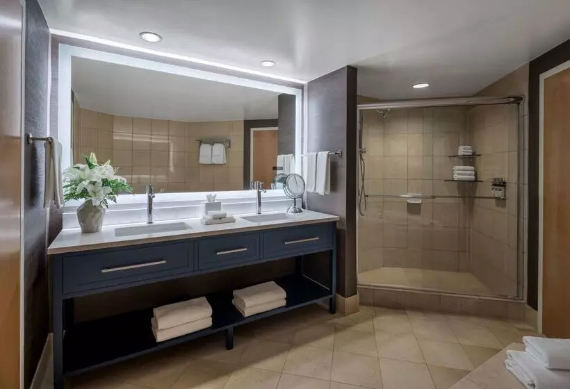 هتل Hyatt Regency Chesapeake Bay Golf Resort, Spa & Marina