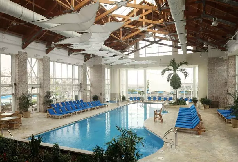 هتل Hyatt Regency Chesapeake Bay Golf Resort, Spa & Marina