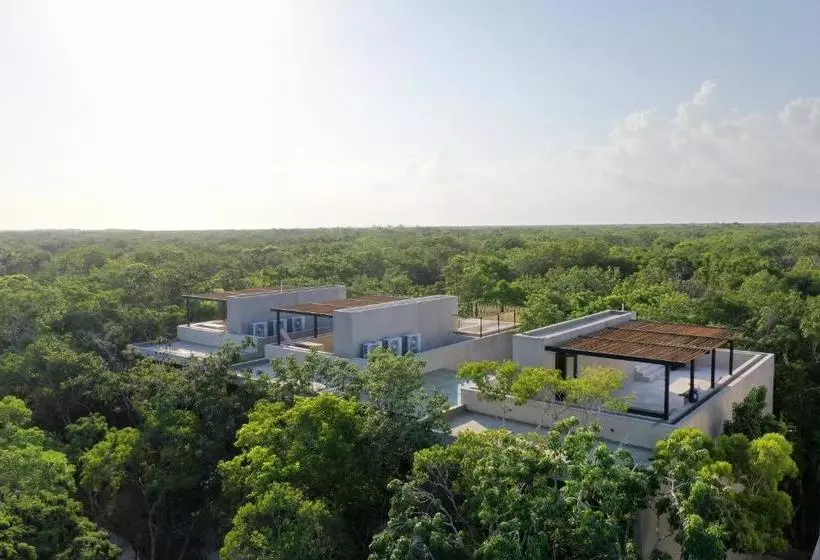 Arba Tulum Aldea Zama