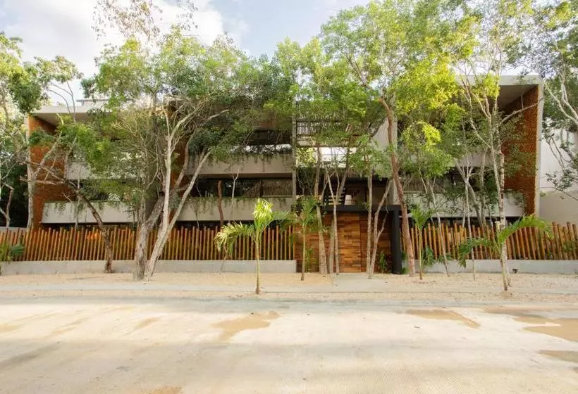 Arba Tulum Aldea Zama