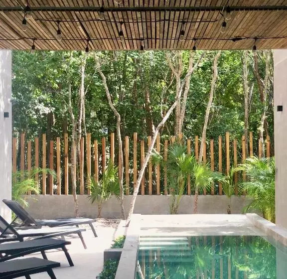Arba Tulum Aldea Zama