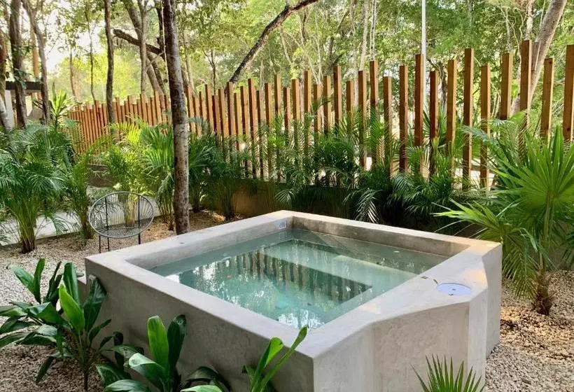 Arba Tulum Aldea Zama